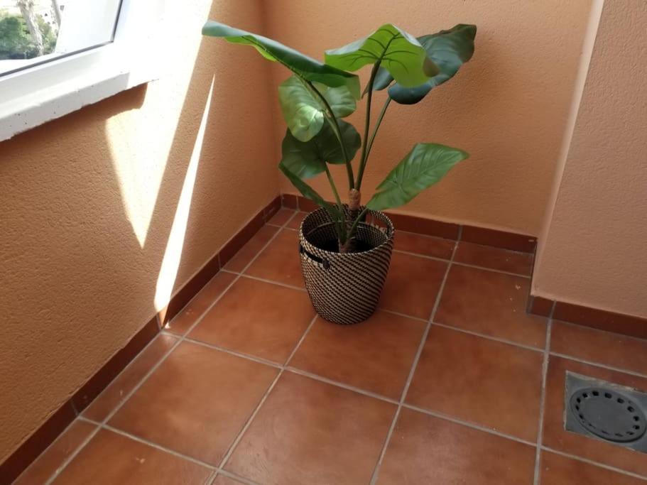 Casa Laguna カサーレス エクステリア 写真